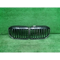 Решетка радиатора Bmw 7er G11 / G12 (2019-2022) 51138494817