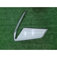 Накладка переднего бампера Geely Coolray (2023-Н.В.) 6010208500