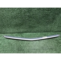 Молдинг решетки радиатора Geely Coolray (2019-2024) 6013024400