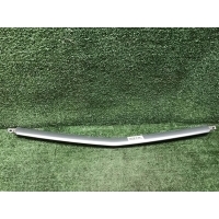 Молдинг решетки радиатора Geely Coolray (2019-2024) 6013024400