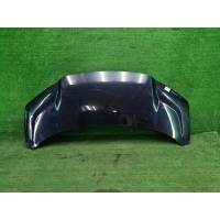 Капот Zeekr 009 (2022-Н.В.) 8894224987C15