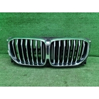 Решетка радиатора Bmw X5 G05 (2018-2023) 51745A29C44