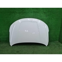 Капот Livan X6 Pro (2023-Н.В.) 101203637801C15