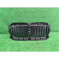 Решетка радиатора Bmw X7 G07 (2019-2022) 51745A29C35