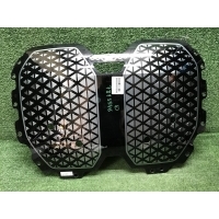 Решетка радиатора Bmw Ix I20 (2021-Н.В.) 51115A32787