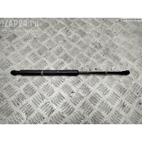 Амортизатор капота BMW 3 E90/E91/E92/E93 (2005-2013) 2005 7060550