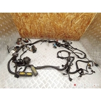 Проводка двигателя Peugeot 308 T7 2013 9636079380,9663704680,6577VE,0767T7,8L276017