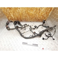 Проводка двигателя Toyota RAV4 2 (XA20) 2002 8212142A00H