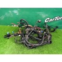 Проводка двигателя BMW 3 E46 Touring 2004 7526549