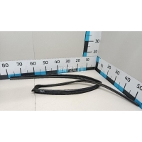Уплотнитель стекла двери Toyota Yaris (2005 - 2011) 681520D050