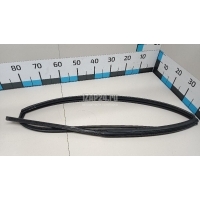 Уплотнитель стекла двери Toyota Yaris (2005 - 2011) 681410D090