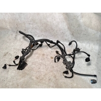 проводка двигателя BMW 5 F10/F11/GT F07 12517641661,12527605915,7599695