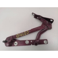 Петля крышки багажника Ford Ford Focus 2 (DB) 2008-2011 YS41F42701CB, 1480450, 1595458