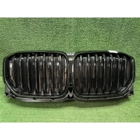 Решетка радиатора Bmw X5 G05 (2018-2023) 51745A29C42