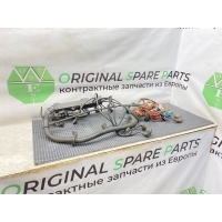 Проводка ДВС Bmw 5-Series E39 Touring 2002 12517791618, 1251 7791618, 778815403, 1252 1741827