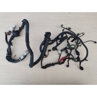 проводка (коса) моторная NISSAN SERENA (C24) 1999-2005 NISSAN SERENA (C24) 1999-2005 2003