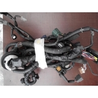 проводка (коса) моторная NISSAN PRAIRIE (RM12) 1998-2004 NISSAN PRAIRIE (RM12) 1998-2004 2004 , Совместимые OEM номера ,301010,301010P,52079425AC ,52079425AE,61010,JP000147,JP0147,RA2263C