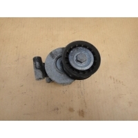 натяжитель ремня FORD C-MAX 2007-2011 FORD C-MAX 2007-2011 2007 1315781,