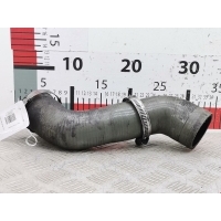 Патрубок интеркулера Renault Kangoo 2 (W/FW) (2007-2018) 2012 ,8200687468
