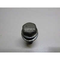 Болт Nissan Qashqai (J10) (2006 - 2014) 01121S105E