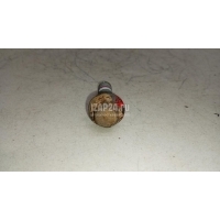Болт GM Captiva (C100) (2006 - 2010) 96625947