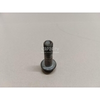 Болт Nissan X-Trail (T31) (2007 - 2014) 40056JG21A