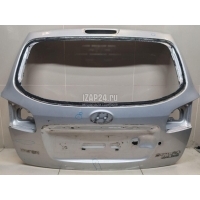 Дверь багажника Hyundai-Kia Santa Fe (CM) (2006 - 2012) 737002B030