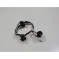 Фонарь подсветки номера Hyundai-Kia Santa Fe (CM) (2006 - 2012) 925012B001