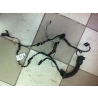 Проводка двери Mercedes ML W164 2007 A1645405806,A2514401909,A0015455945,A0015456945