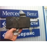 Подушка безопасности боковая (в дверь) Mercedes C W203 2004 A2038602605,A2038603405