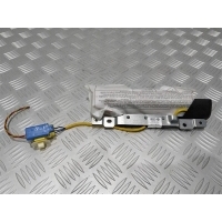 Подушка безопасности боковая (в сиденье) Volkswagen Passat B7 2012 3C0880441
