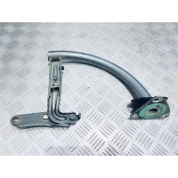 Петля крышки багажника Volkswagen Passat B7 2011 3C5827301B