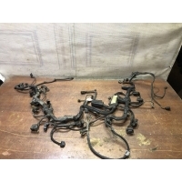 Проводка двигателя Mercedes X164 GL Mercedes X164 GL 2006-2012 A2731503333