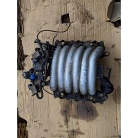 Коллектор впускной Audi A6 2000 078133151EH,078133201BA,078133223S,2900303789,2902000679, ACK, ATX, APR