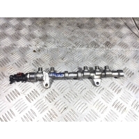 топливная рампа Opel Corsa D 2011 0445214222,55573331