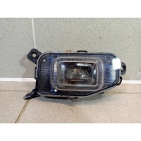 Фара противотуманная правая Jaecoo J7 605000821AA