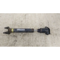 Амортизатор задний MERCEDES-BENZ R-CLASS W251, V251 08/2005 - 10/2017 2007 A2513200631