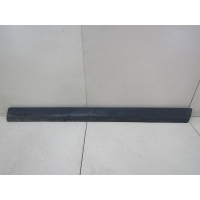 Молдинг передней правой двери VW Passat (B5+) 2000-2005 3B0854940BB41