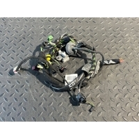 Проводка двери Mercedes C/W204 2006-2015 A2045409835