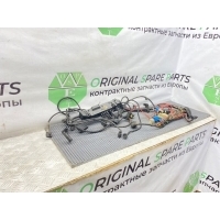 Проводка ДВС Bmw 5-Series E39 2001 12517791618, 1251 7791618, 778815403, 1252 1741827