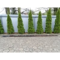 Daf фа 45 91-00 рама правый боковое 670x19cm 17,5 124