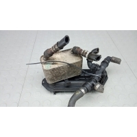 Теплообменник бензиновый LAND ROVER RANGE ROVER (2002-2005) 2003 PFD000020