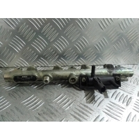 Топливная рампа Peugeot 607 2000-2004 2003 0445214017