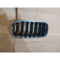 Решётка радиатора BMW X5 F15 2017 7316076