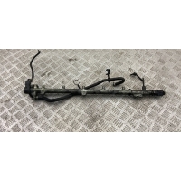 топливная рампа Mercedes-Benz E W210/S210 2002 A6130700095,0445216004