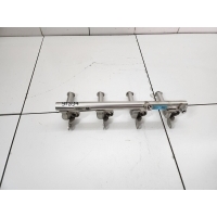 Рейка топливная (рампа) Geely Monjaro 2021- 5500001243