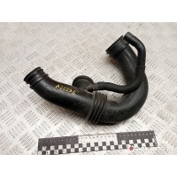 Патрубок воздушного фильтра Renault Kangoo 2003 8200280084