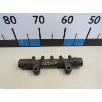Рейка топливная (рампа) Ford Boxer 250 2006 1497163