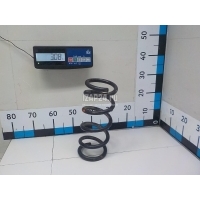 Пружина передняя Nissan EX/QX50 (J50) (2008 - 2017) 540101BA0A