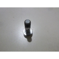 Болт Nissan Murano (Z51) (2008 - 2015) 081B42405M